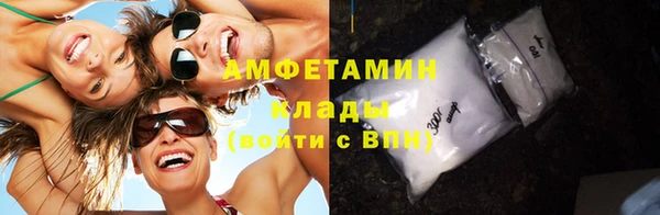 твердый Вяземский