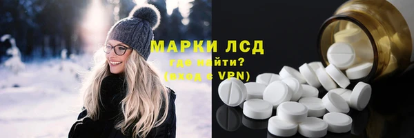 твердый Вяземский