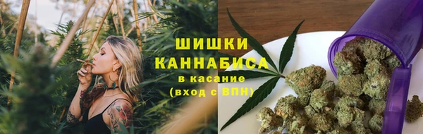 apvp Вязьма