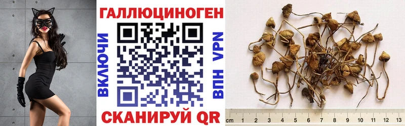 Галлюциногенные грибы MAGIC MUSHROOMS  ОМГ ОМГ   Ноябрьск  магазин   